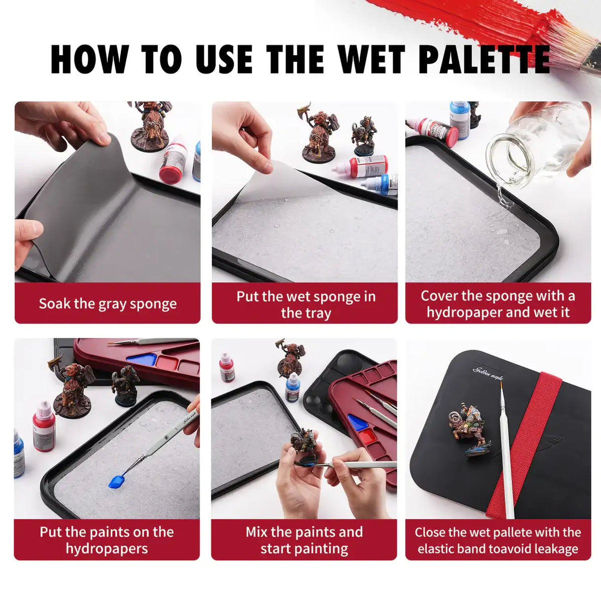 GOLDEN MAPLE: 2 in 1 Wet Palette Kit - Acrylic Miniature Painting NO BRUSHES.