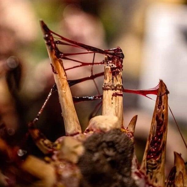 DIRTY DOWN: GORE 15ML