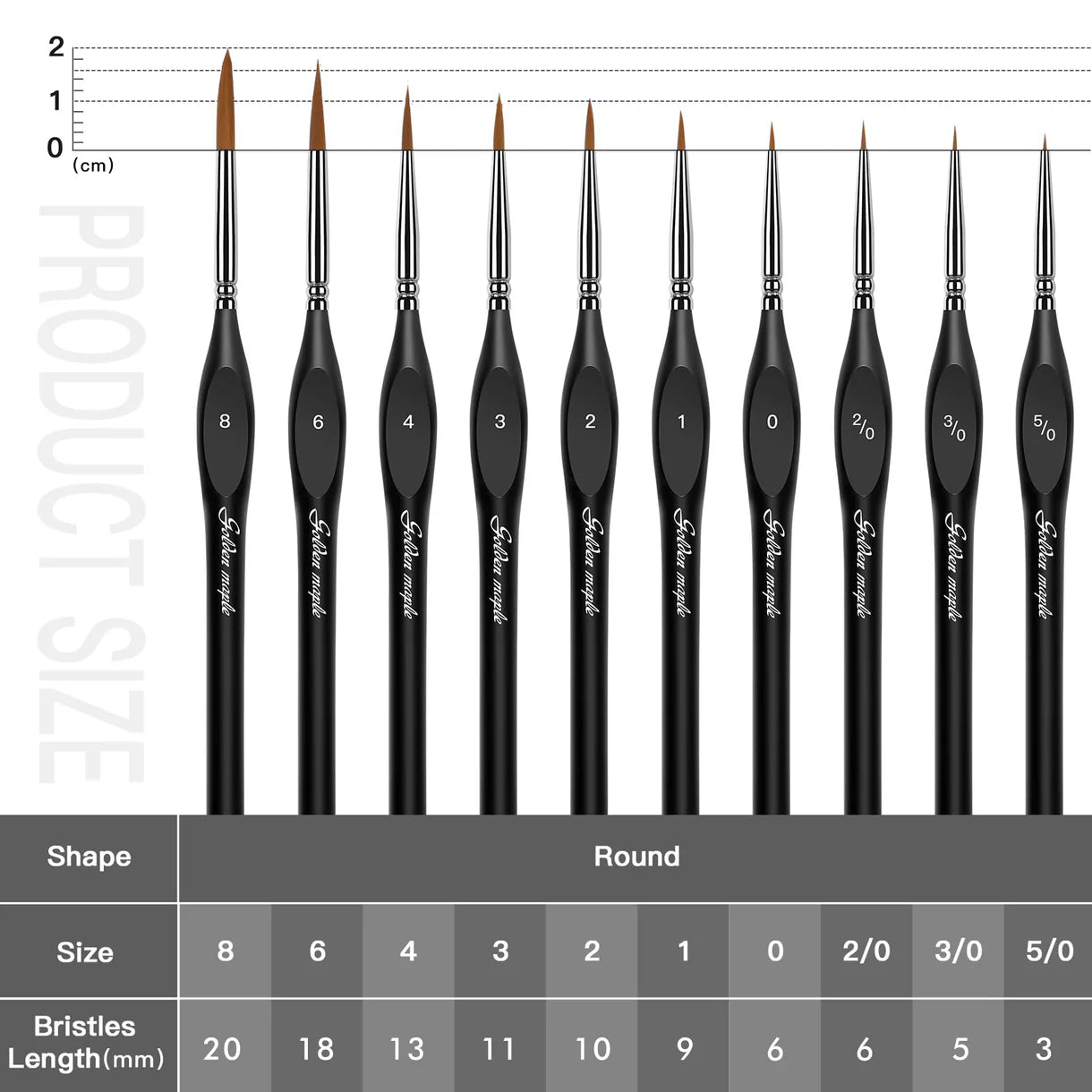 GOLDEN MAPLE: Detail Paint Brush Set with Triangular Handles - 10pcs